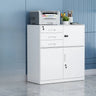 Rectangle Steel Lockable Storage Filing Cabinet White Image - 5