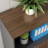 Rectangular Lockable Wooden Brown Office Storage Cabinet Image - 7