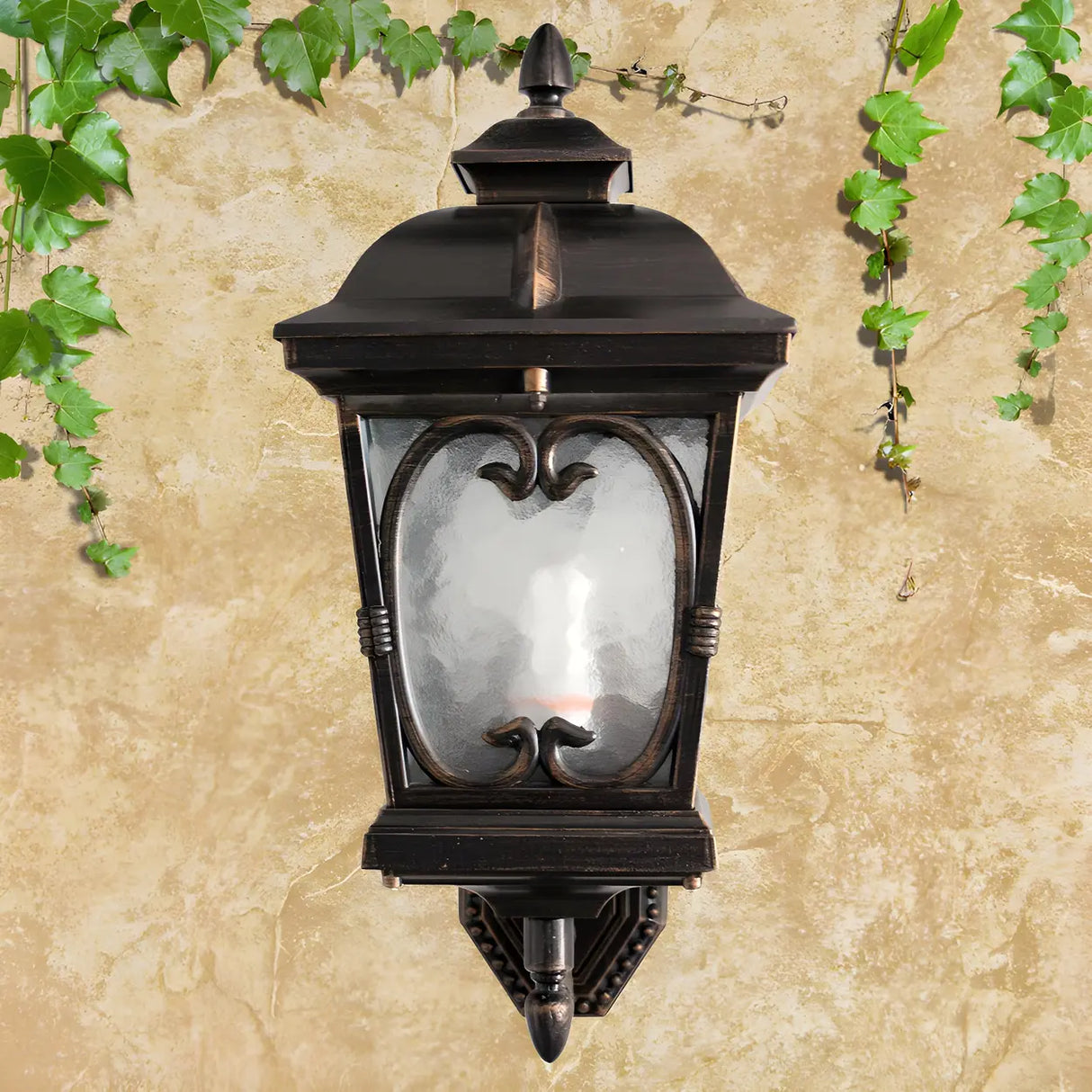 Rustic Bronze Birdcage Glass Outdoor Wall Light Sconce Image - 2