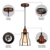 Rustic Industrial Copper Cage Edison Bulb Pendant Light Image - 6