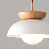 Scandinavian Dome Black and Wood Pendant Lights Image - 9