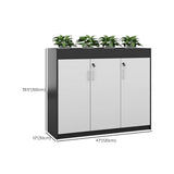 Scratch Resistant Wood Black Lockable Office Cabinet #size