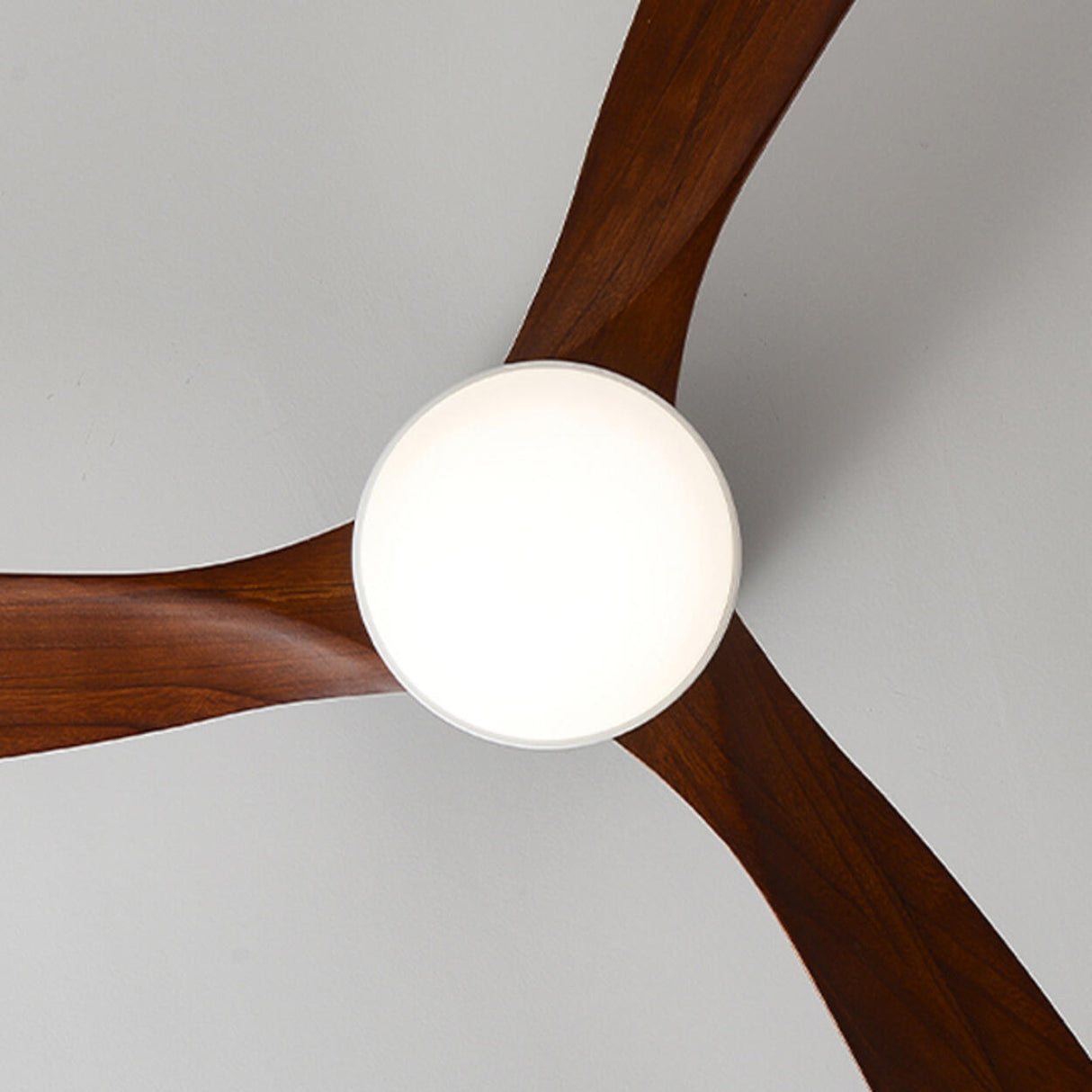 Simple 3 Solid Wood Blade Modern LED Ceiling Fan Light Image - 9