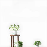 Simple 3 Tiers Round Tray Solid Wood Floor Plant Stand Image - 4