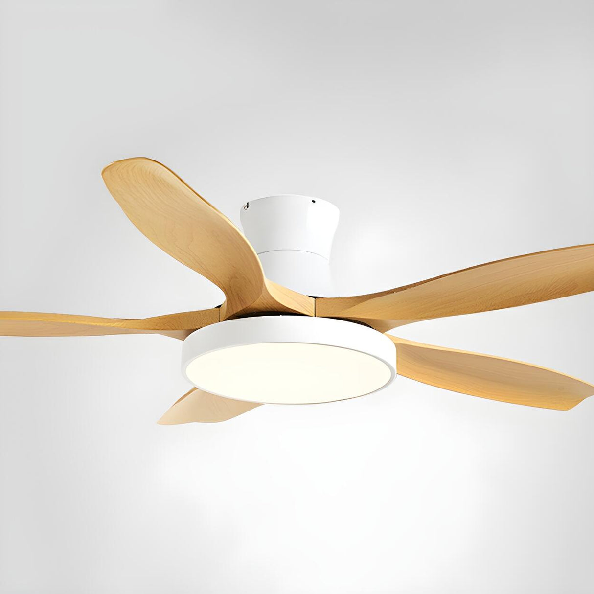 Simple 5 Blade Flush Standard Ceiling Fan with Light Image - 7