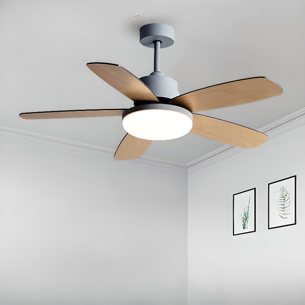 https://www.homebaa.com/collections/5-blade-ceiling-fans 