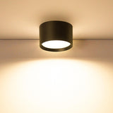 Simple Black White Cylinder Flush Mount Ceiling Light Image - 2