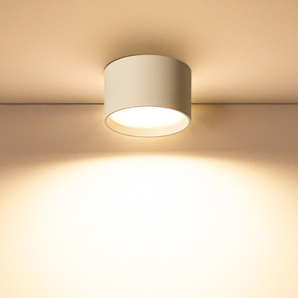 Simple Black White Cylinder Flush Mount Ceiling Light Image - 31