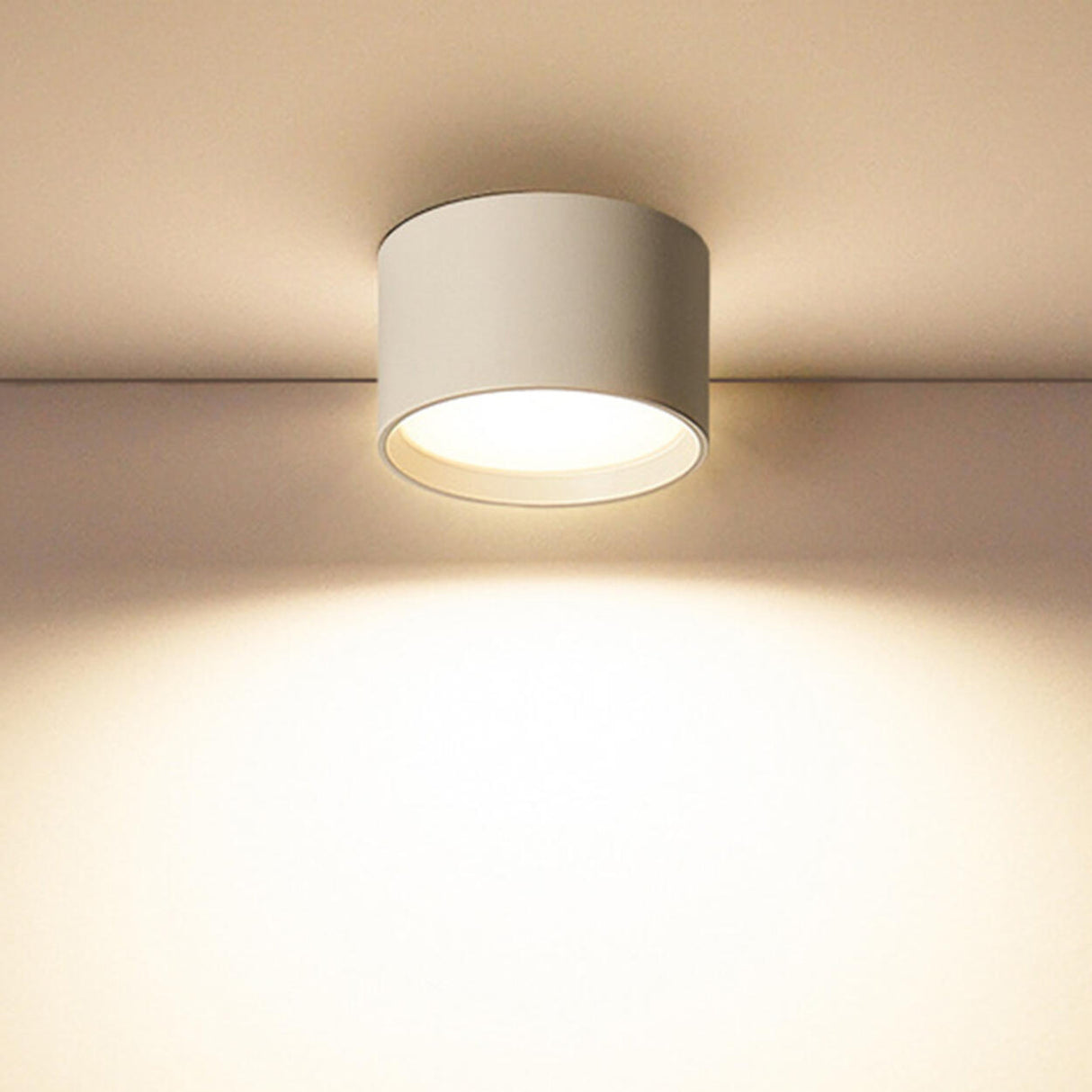 Simple Black White Cylinder Flush Mount Ceiling Light Image - 44