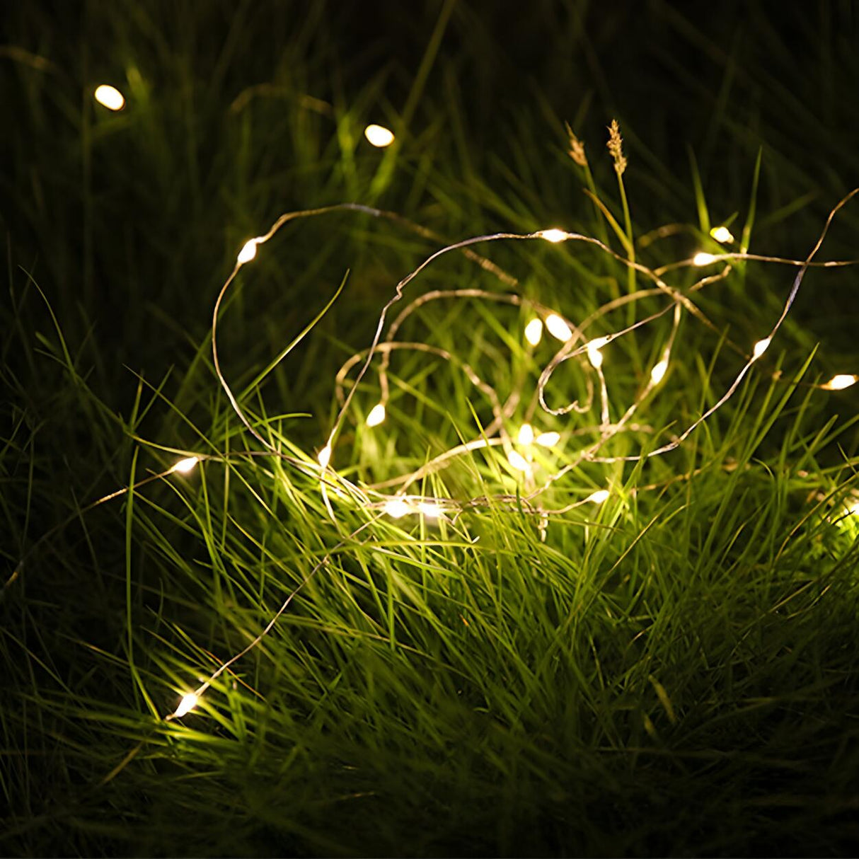 Simple Christmas Solar-Powered Fairy String Lights Image - 15