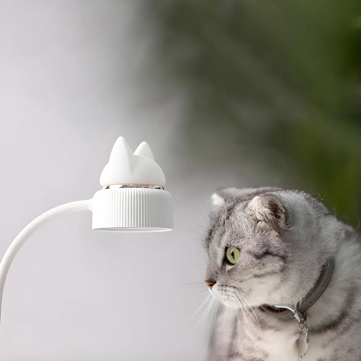 Simple Clip-On Cat Ear Decorative Bedside Table Lamp Image - 17