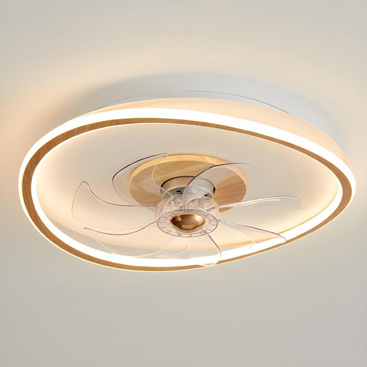 Simple Flush Mount Ring Ceiling Fan with LED Light Image - 7