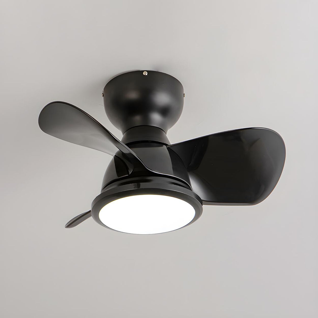 Simple Mini Flush Modern 3 Blade Ceiling Fan with Light Image - 12