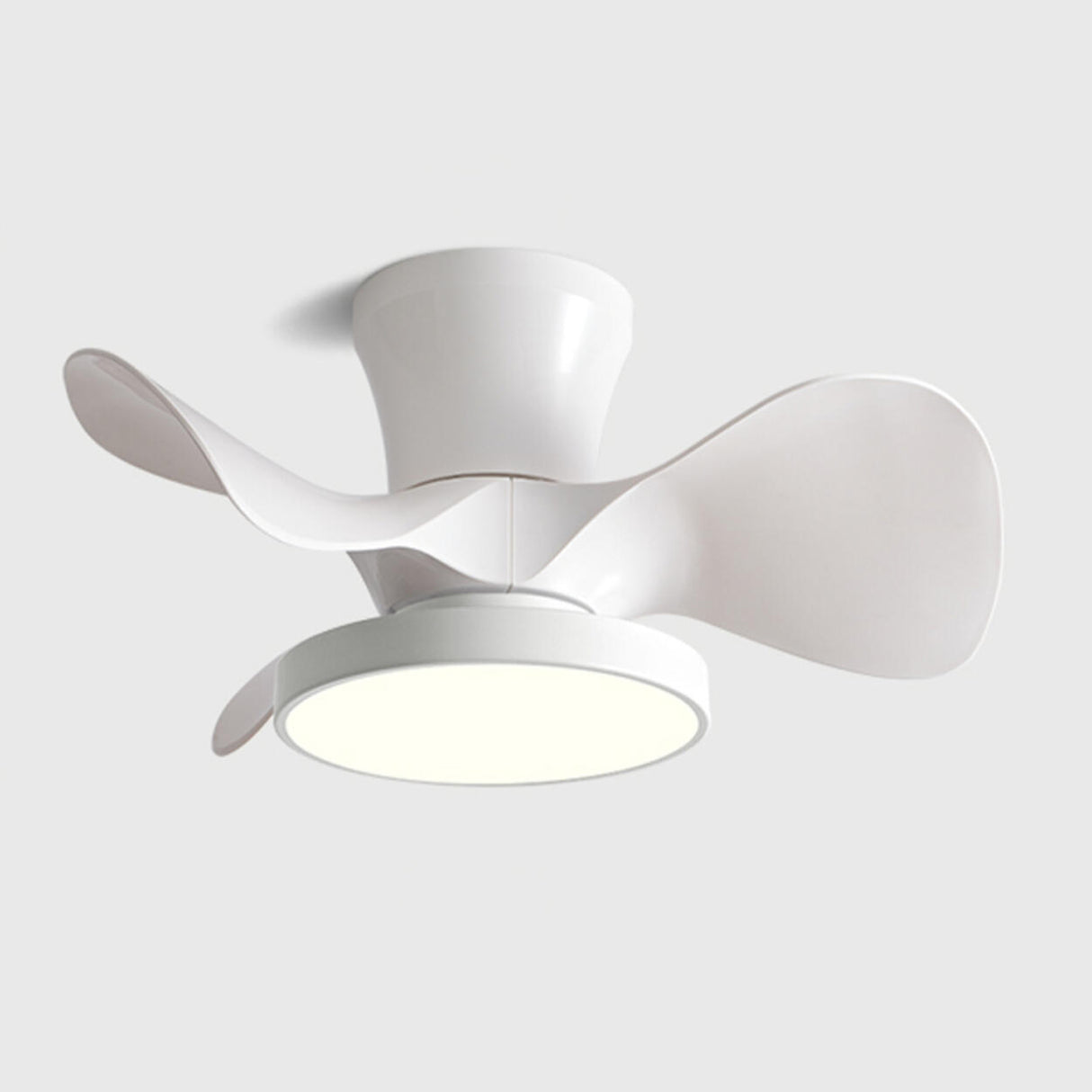 Simple Modern Metal 3 Blades LED Ceiling Fan with Light Image - 5