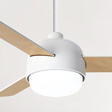 Simple Remote Dimmable 3 Blades Wood Ceiling Fan Light Image - 14