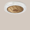 Simple Round Flush Mounted Ceiling Fan with  LED Light Image - 11