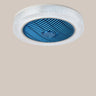 Simple Round Flush Mounted Ceiling Fan with  LED Light Image - 13