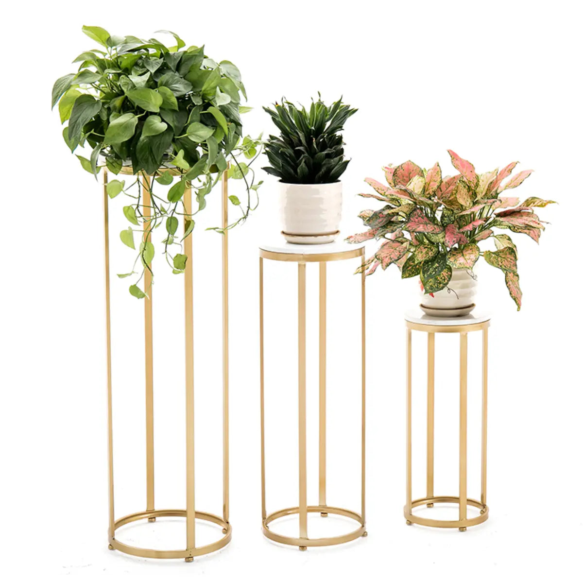 Simple Round Gold Marble Base Metal Nesting Plant Stand Image - 8