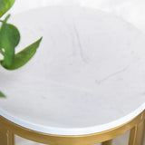 Simple Round Gold Marble Base Metal Nesting Plant Stand Image - 9