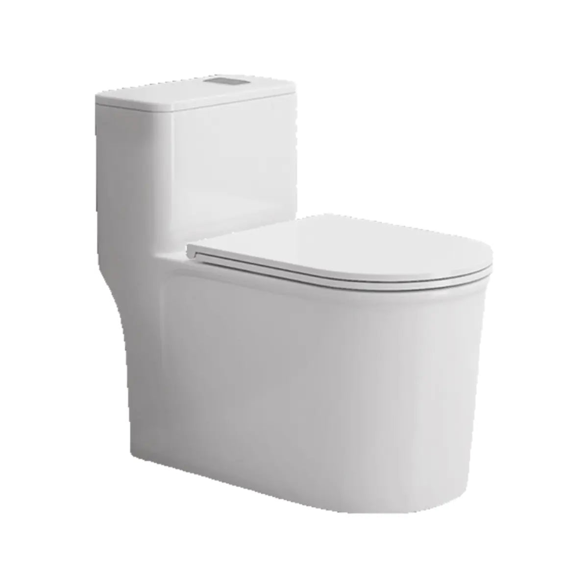 Simple Siphonic One-Piece Elongated Ceramic Toilet Image - 9