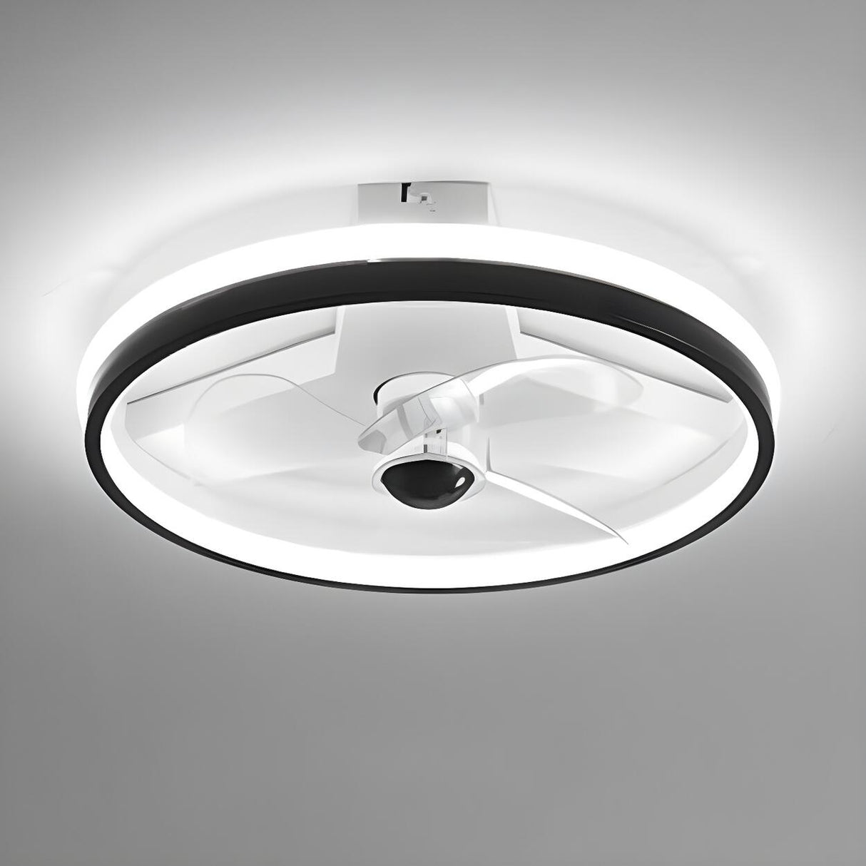 Simple Stylish Ring Flush LED Ceiling Fan With Light Image - 6