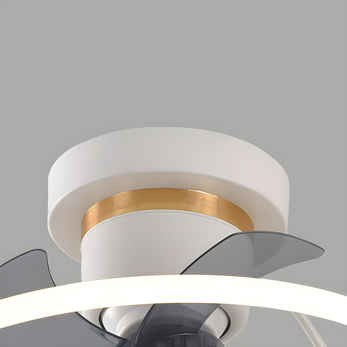 Simple White Ring Butterfly Ceiling Fan with Light Image - 10