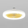 Simple White Round Modern Small Ceiling Fan with Light Image - 5