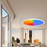 Simplicity Colorful Circle LED Flush Mount Ceiling Lamp Image - 1