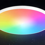 Simplicity Colorful Circle LED Flush Mount Ceiling Lamp Image - 2