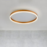 Simplicity White Circular LED Flush Mount Ceiling Light Image - 4