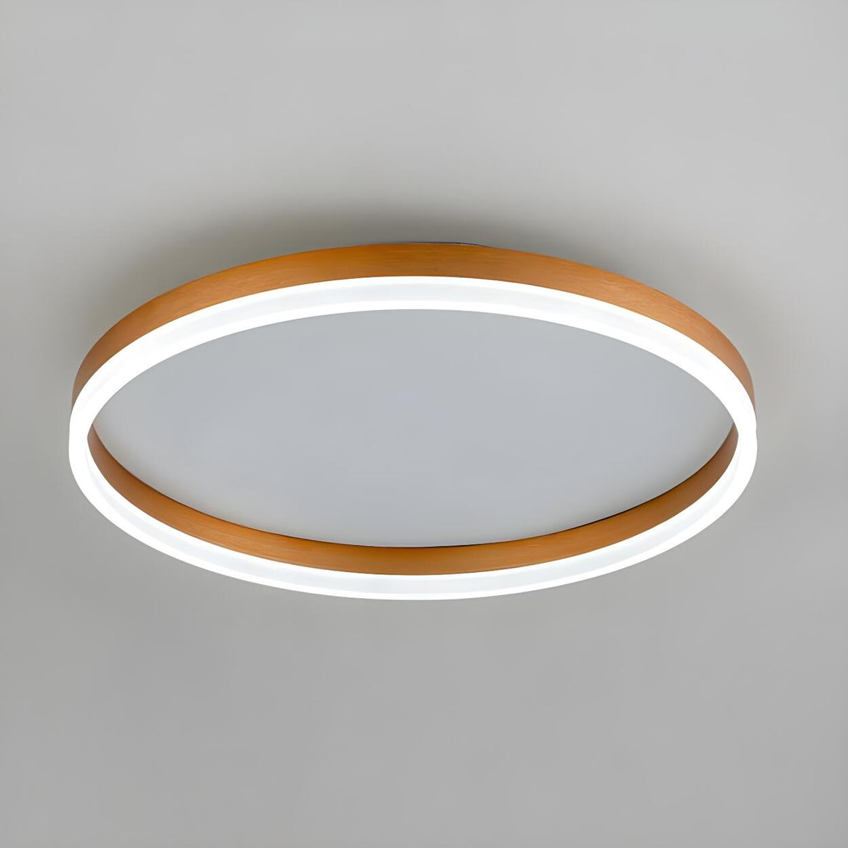 Simplicity White Circular LED Flush Mount Ceiling Light Image - 5