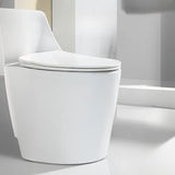 Siphon Elongated Ceramic White Compact Floor Mounted Toilet Image - 10