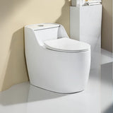 Siphon Elongated Ceramic White Compact Floor Mounted Toilet Image - 2