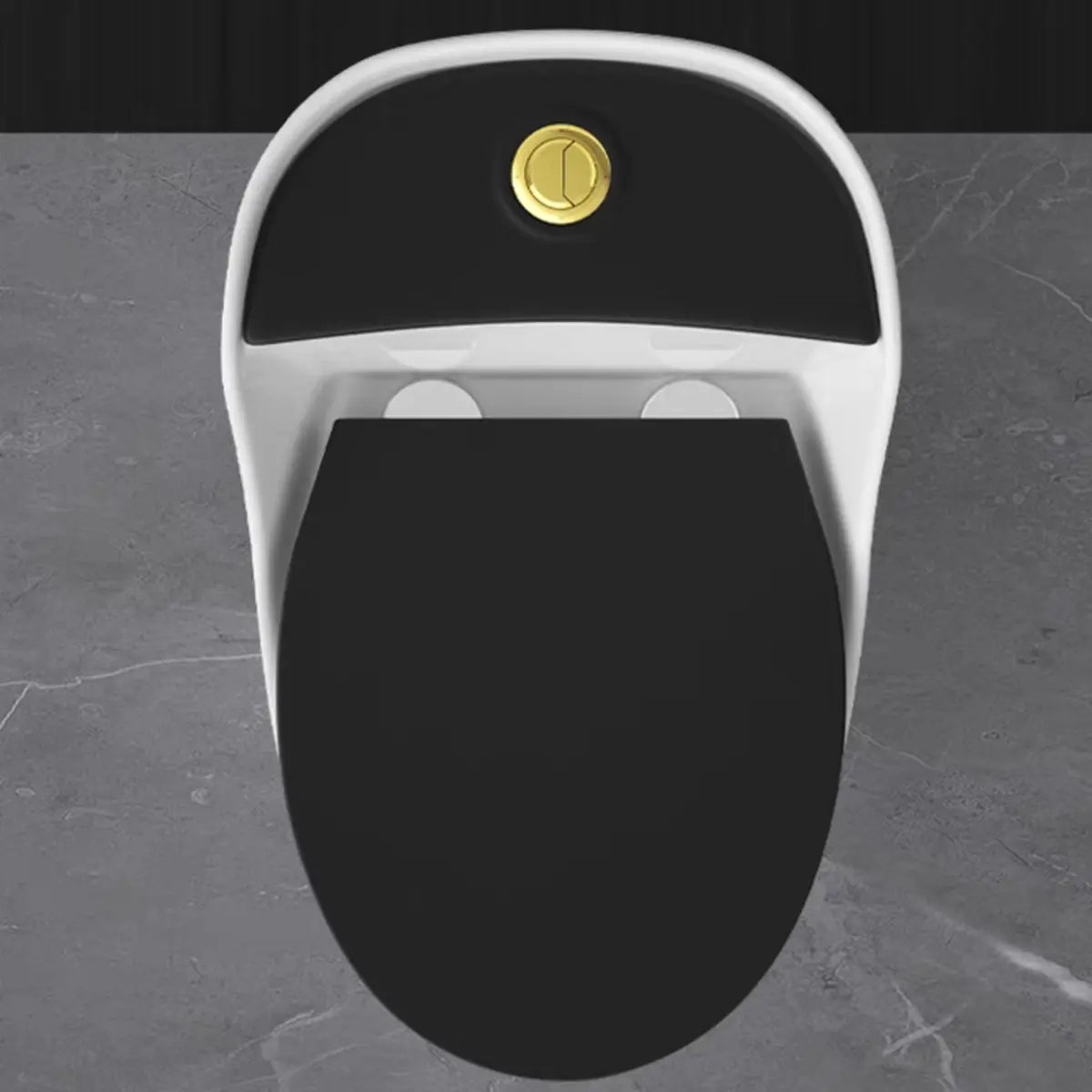 Siphon Jet Modern Black-Trim Ceramic One-Piece Toilet Image - 4