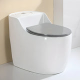 Sleek Elongated White Antimicrobial Seat One-Piece Toilet Image - 1