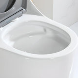 Sleek Elongated White Antimicrobial Seat One-Piece Toilet Image - 12