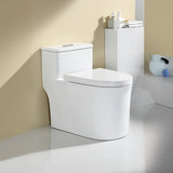 Sleek Elongated White Antimicrobial Seat One-Piece Toilet Image - 14