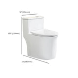 Sleek Elongated White Antimicrobial Seat One-Piece Toilet Image - 22