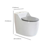 Sleek Elongated White Antimicrobial Seat One-Piece Toilet Image - 24