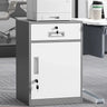 Steel Vertical Small Fireproof Lockable Filing Cabinet Image - 24