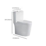 Superswirl Flush Contemporary Oval White Compact Toilet Image - 20