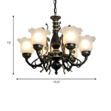 Traditional Frosted Glass Flower Black Metal Chandelier #size