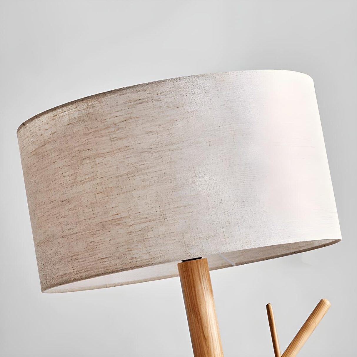 Trendy Drum and Tree Branch Wooden Floor Lamp Image - 8