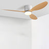 Trendy Flush Mount LED 3 Blades Ceiling Fan with Light Image - 5