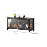 Trendy Rectangular Metal Black Curio Display Cabinet Image - 27