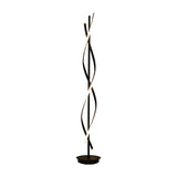 Unique Black Twisted LED Modern Metal Floor Lamp Image - 5