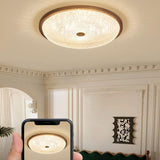 Walnut Circle Glass Wood Flush Mount Ceiling Light Image - 12