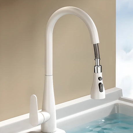 Water Filtration Swivel Spout Kitchen Faucet with Spray Image - 1