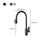 Water Filtration Swivel Spout Kitchen Faucet with Spray #size