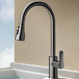 Water Filtration Swivel Spout Kitchen Faucet with Spray Image - 3